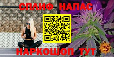 шишки Апшеронск