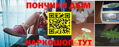 шишки Апшеронск
